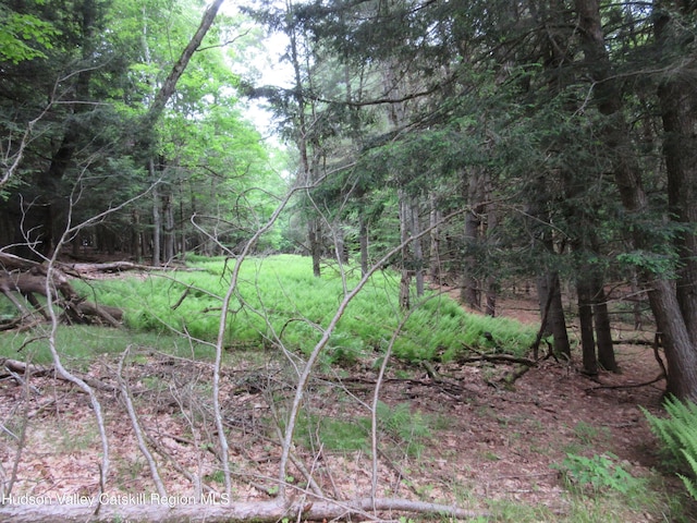 0 Rte 23c Lot, Lexington, NY 12452 - photo 26