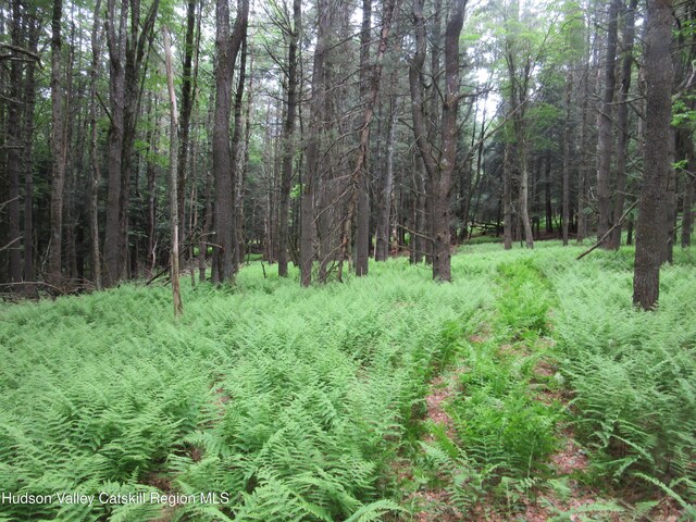 0 Rte 23c Lot, Lexington, NY 12452 - photo 8