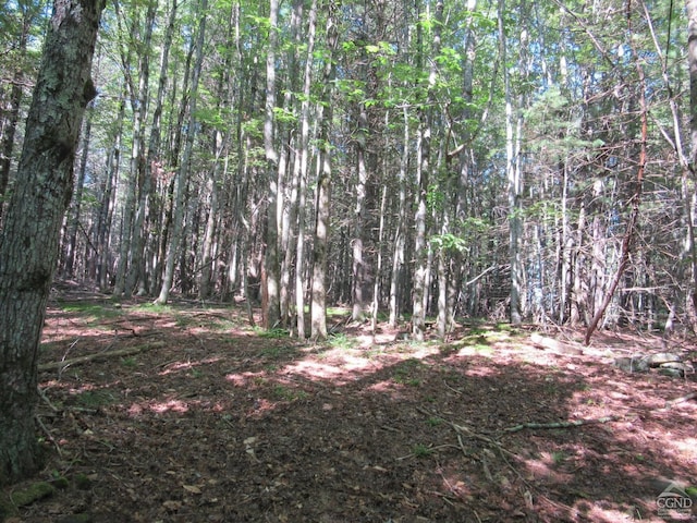 0 Rte 23c Lot, Lexington, NY 12452 - photo 44