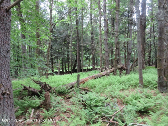 0 Rte 23c Lot, Lexington, NY 12452 - photo 13