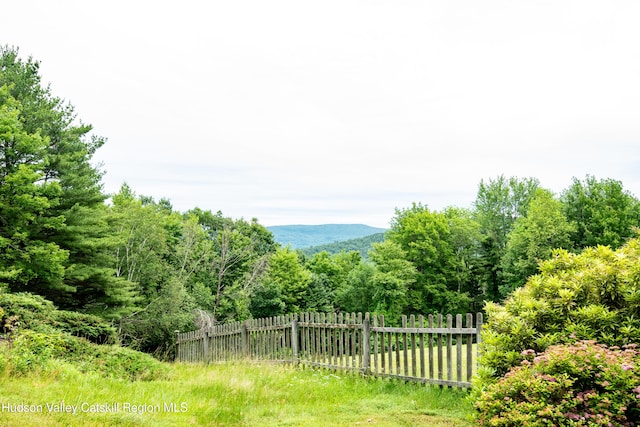 563 County Rte 34, East Chatham, NY 12060 - photo 16