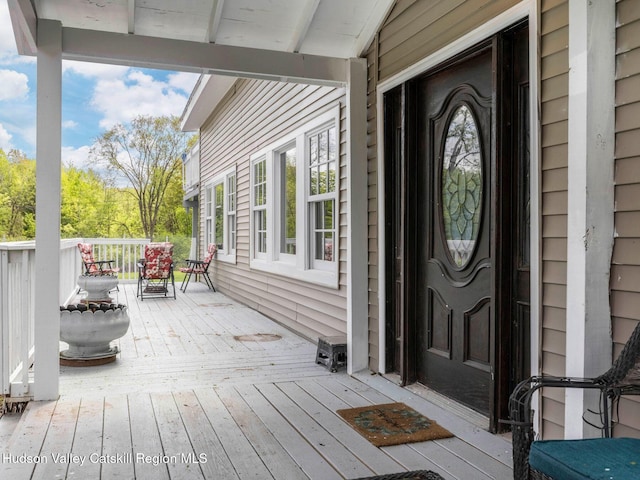 221 Hervey Sunside Rd, Cairo, NY 12413 - photo 7