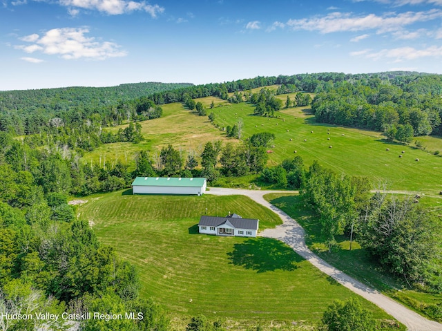 482 Keyserkill Rd, Middleburgh, NY 12122 - photo 36