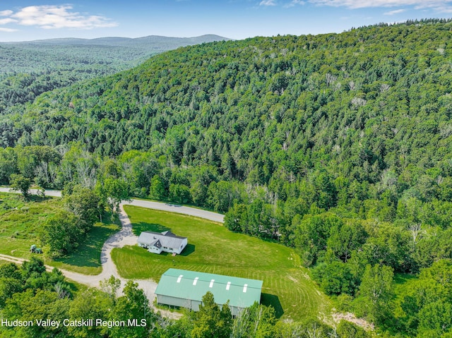 482 Keyserkill Rd, Middleburgh, NY 12122 - photo 39