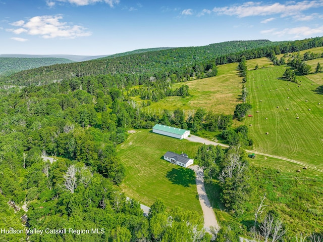 482 Keyserkill Rd, Middleburgh, NY 12122 - photo 38