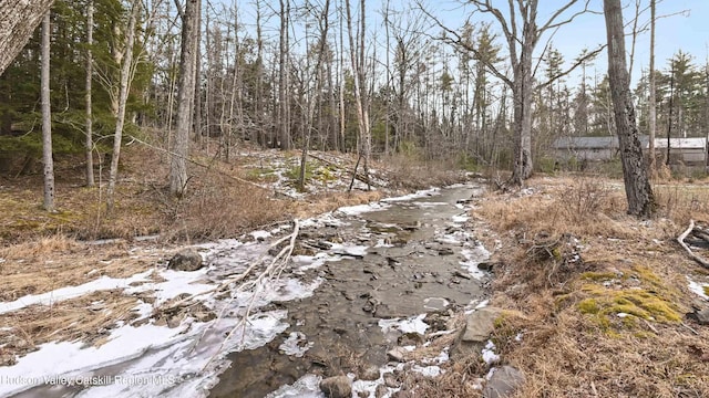 view of local wilderness