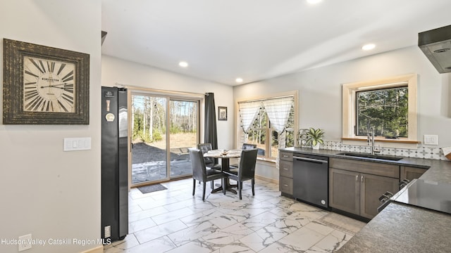 kitchen with appliances with stainless steel finishes, sink, dark brown cabinets, and exhaust hood