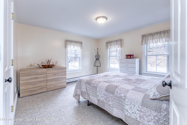 25 Birmingham Ln, Kingston, NY 12401 - photo 51