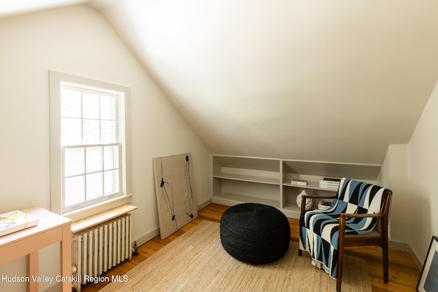 70 Miller Rd, Canaan, NY 12029 - photo 24