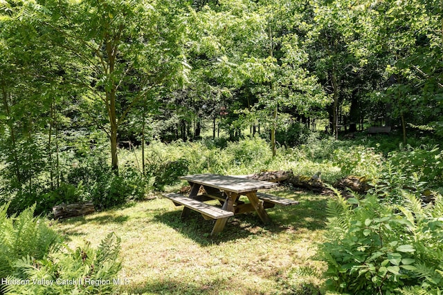 70 Miller Rd, Canaan, NY 12029 - photo 27