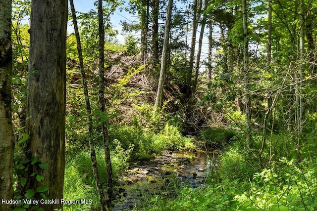 71 Wegebauer Rd, Saugerties, NY 12477 - photo 29