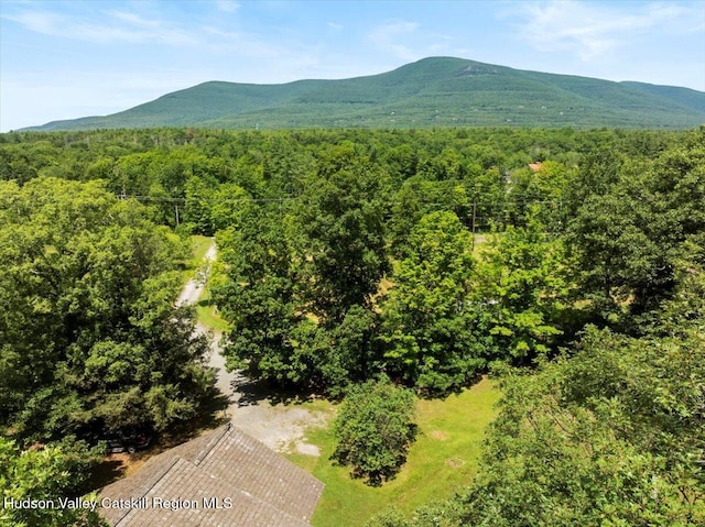 71 Wegebauer Rd, Saugerties, NY 12477 - photo 31