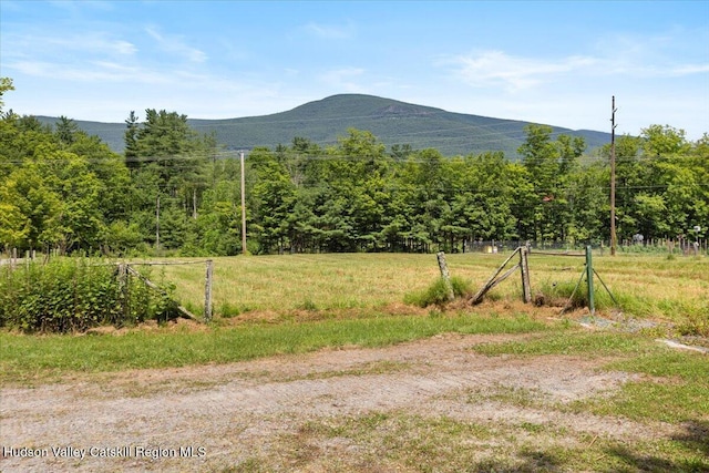 71 Wegebauer Rd, Saugerties, NY 12477 - photo 3