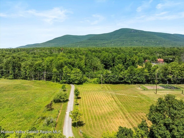 71 Wegebauer Rd, Saugerties, NY 12477 - photo 25