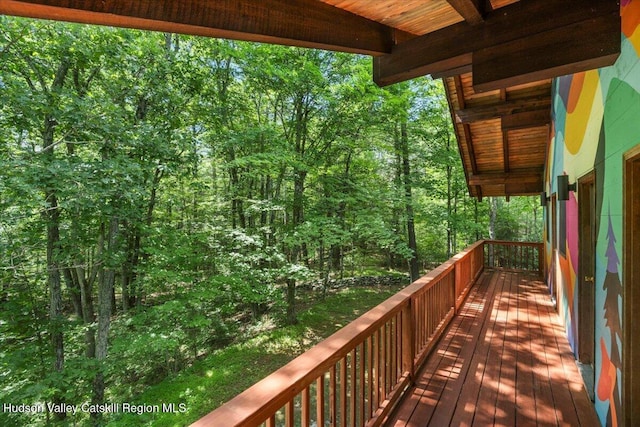 71 Wegebauer Rd, Saugerties, NY 12477 - photo 20