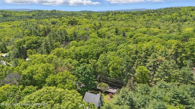 766 County Route 2, Accord, NY 12404 - bird's eye view of a heavily wooded area