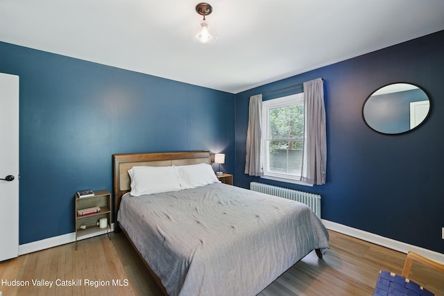 766 County Route 2, Accord, NY 12404 - bedroom with radiator heating unit, baseboards, and wood finished floors