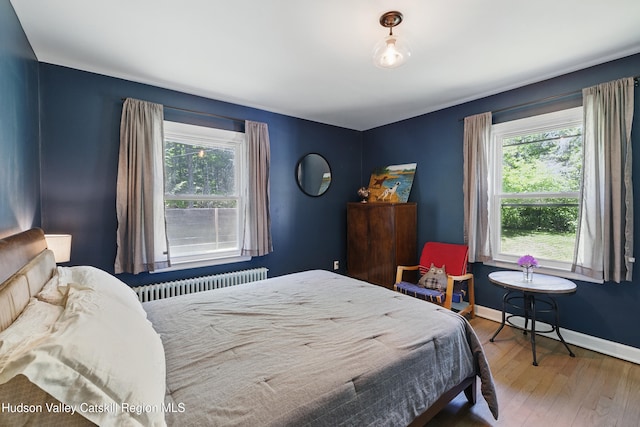 766 County Route 2, Accord, NY 12404 - bedroom featuring radiator heating unit, multiple windows, wood finished floors, and baseboards