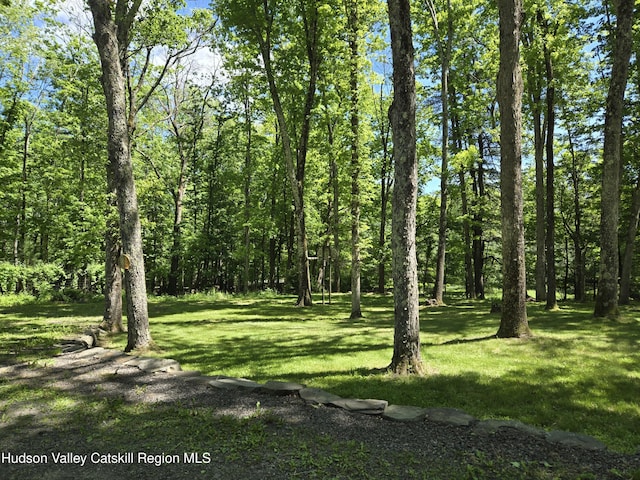766 County Route 2, Accord, NY 12404 - view of undeveloped land