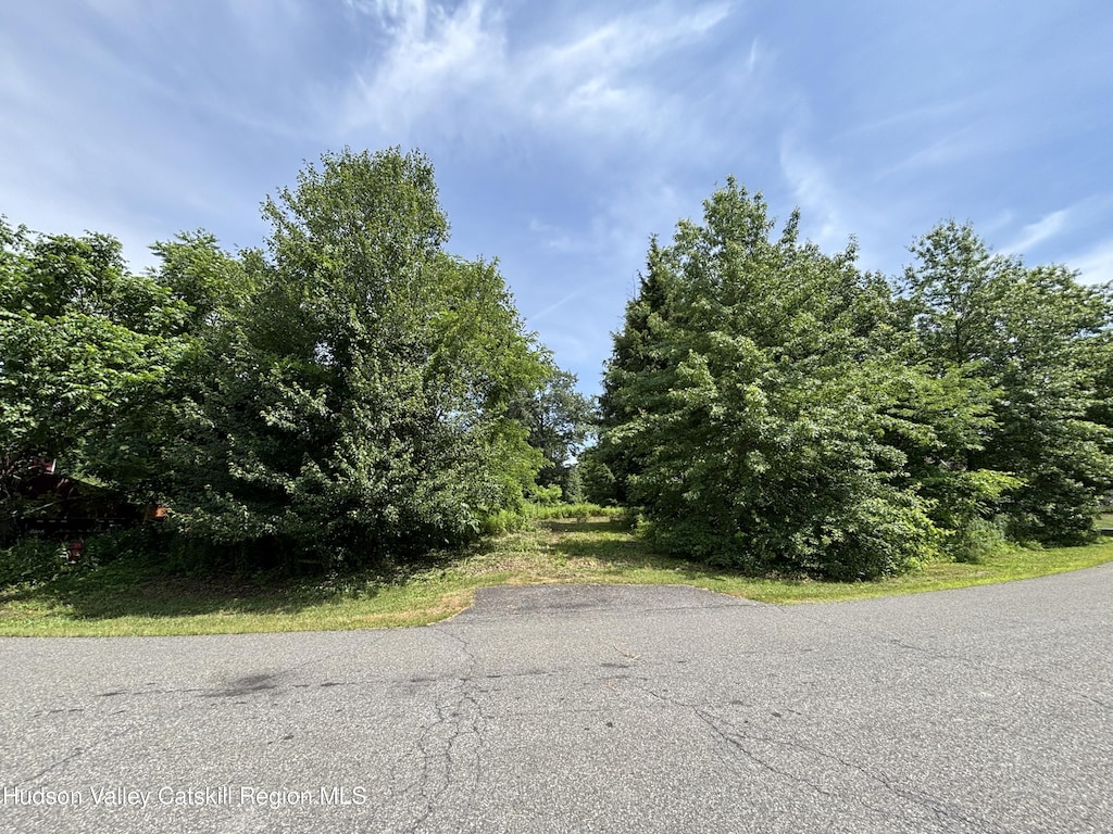 0 Mcnary Ave, Kinderhook, NY 12106 - photo 1