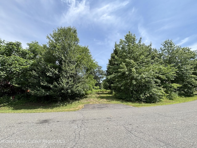 0 Mcnary Ave, Kinderhook, NY 12106 - photo 1