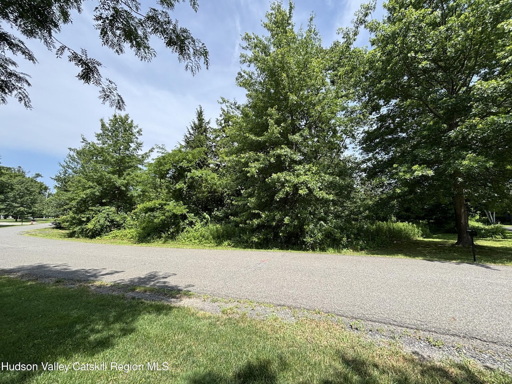 0 Mcnary Ave, Kinderhook, NY 12106 - photo 2