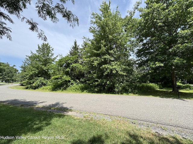 0 Mcnary Ave, Kinderhook, NY 12106 - photo 2