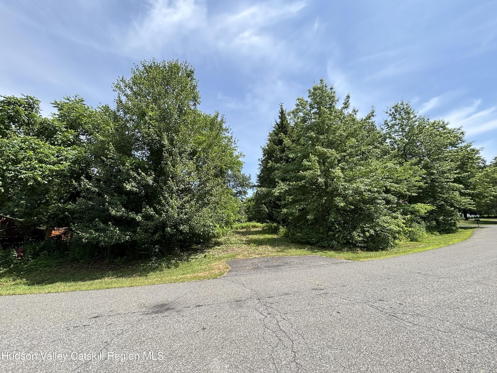 0 Mcnary Ave, Kinderhook, NY 12106 - photo 3