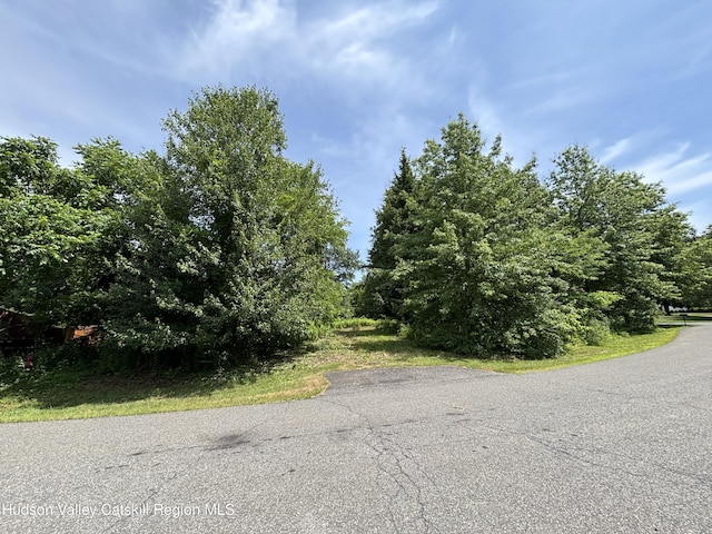 0 Mcnary Ave, Kinderhook, NY 12106 - photo 3