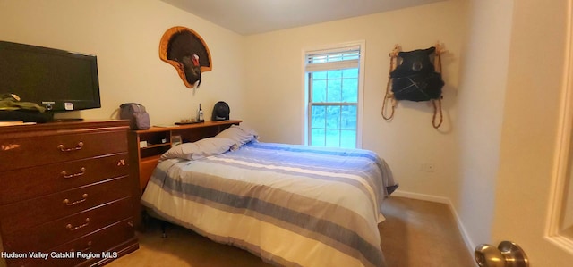 89 Zinno Rd, Ashland, NY 12407 - photo 17