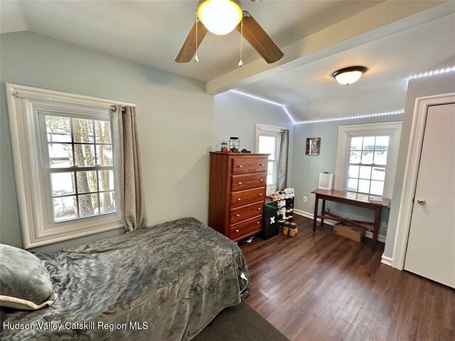 bedroom featuring multiple windows, vaulted ceiling with beams, ceiling fan, and dark hardwood / wood-style floors