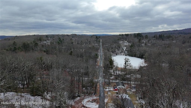 view of mountain feature