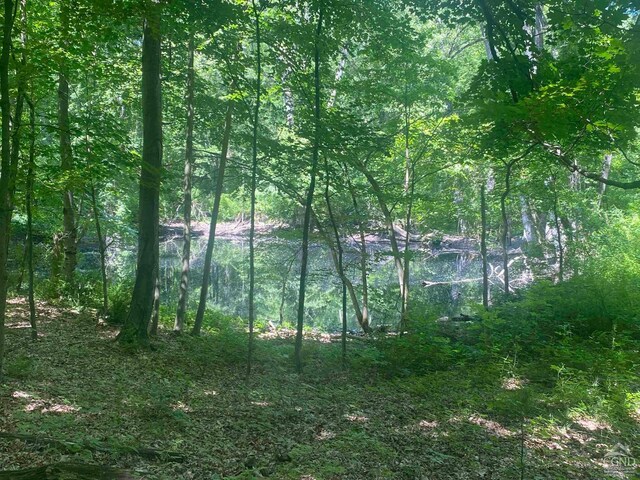 234 W Market St, Red Hook, NY 12571 - photo 6