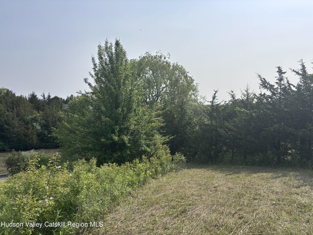 3075 Sleepy Hollow Rd, Athens, NY 12015 - photo 5