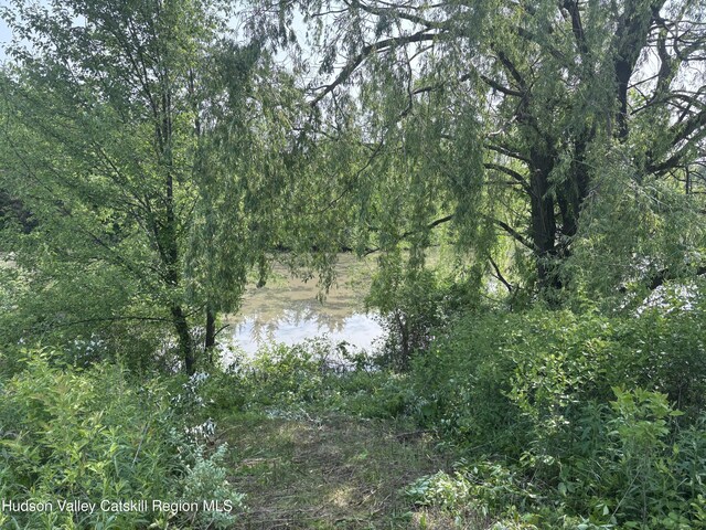 3075 Sleepy Hollow Rd, Athens, NY 12015 - photo 7