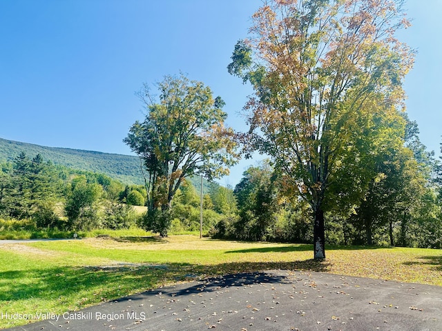 1976 Spruceton Rd, West Kill, NY 12492 - photo 7