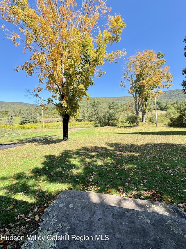 1976 Spruceton Rd, West Kill, NY 12492 - photo 22