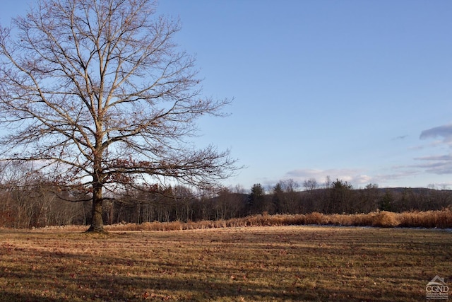 23 Raccoon Forks Rd, Old Chatham, NY 12136 - view of yard