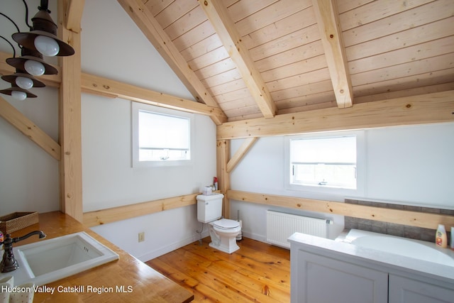 23 Raccoon Forks Rd, Old Chatham, NY 12136 - bathroom featuring radiator, wood ceiling, a sink, toilet, and hardwood / wood-style flooring