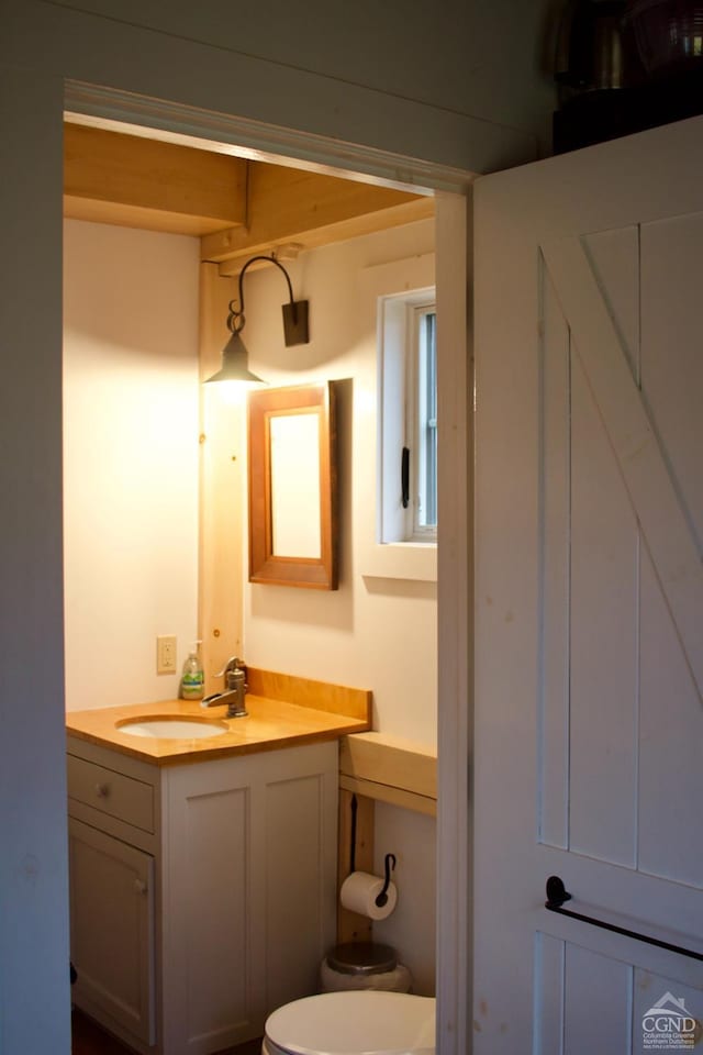 23 Raccoon Forks Rd, Old Chatham, NY 12136 - bathroom with toilet and vanity
