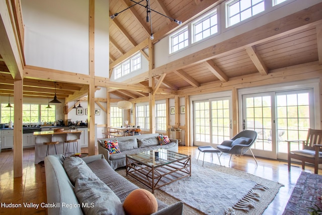23 Raccoon Forks Rd, Old Chatham, NY 12136 - living room with wooden ceiling, beamed ceiling, light wood-style flooring, and high vaulted ceiling