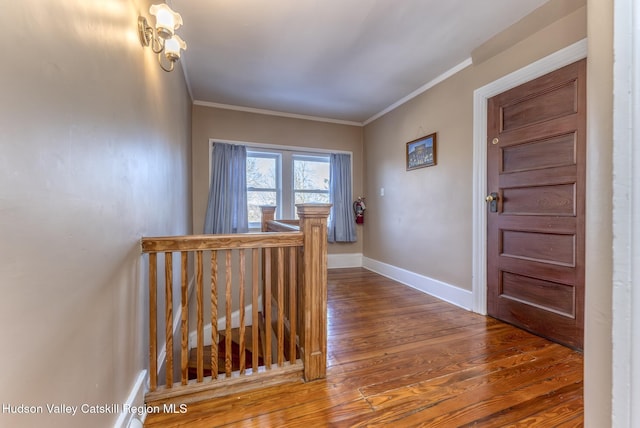 hallway with crown molding and dark wood-type flooring