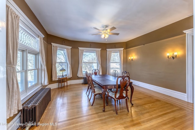 dining room with radiator heating unit, light hardwood / wood-style floors, and ceiling fan