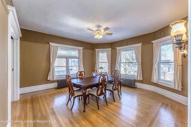 dining room featuring radiator heating unit, light hardwood / wood-style floors, and ceiling fan