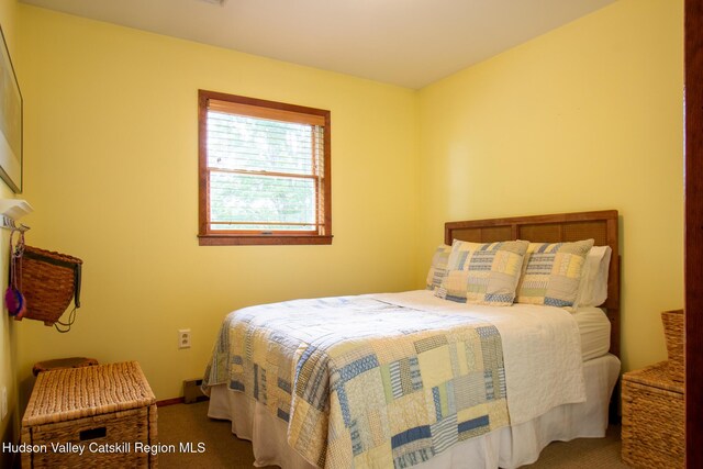 526 Taghkanic Rd, Elizaville, NY 12523 - carpeted bedroom with baseboards