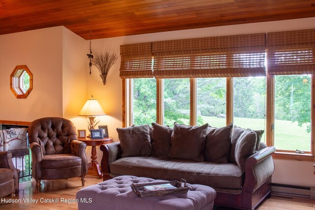 526 Taghkanic Rd, Elizaville, NY 12523 - living area featuring a baseboard radiator, wood ceiling, wood finished floors, and plenty of natural light