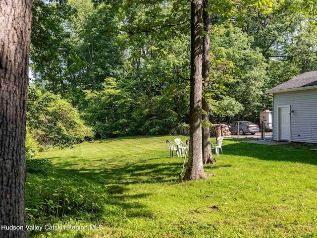 84 Van Nostrand Rd, New Paltz, NY 12561 - photo 34