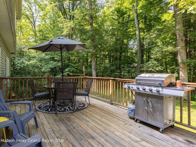 84 Van Nostrand Rd, New Paltz, NY 12561 - photo 30