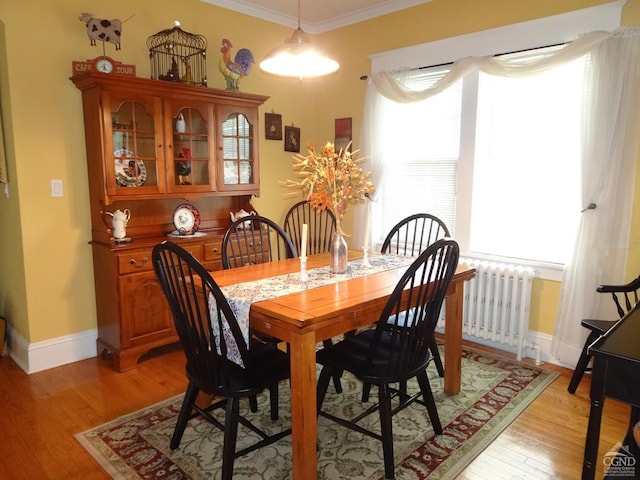 19 Aitken Ave, Hudson, NY 12534 - dining space with radiator heating unit, light wood-type flooring, ornamental molding, and baseboards