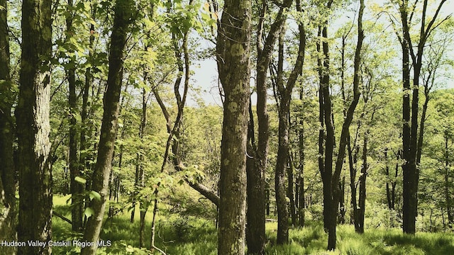 0 Benton Hollow Rd, Liberty, NY 12754 - photo 2